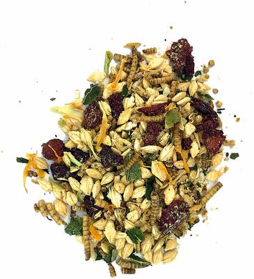 Show full view: Fowl Treats Mealworm Blend Salo Terra Blend Chicken & Duck Treats, 2-lb bag slide 3 of 6