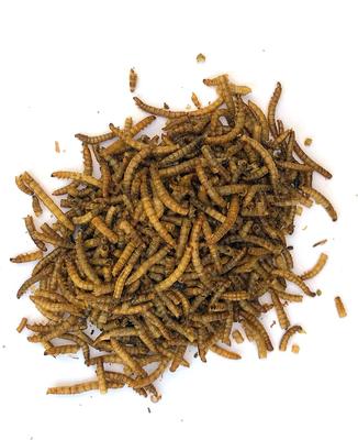 Show full view: Fowl Treats Mealworms Chicken Treats, 8-oz bag slide 3 of 8