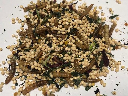 Show full view: Fowl Treats Vitale Molt & Laying Flock Booster Bird Supplement, 16-oz bag slide 4 of 4