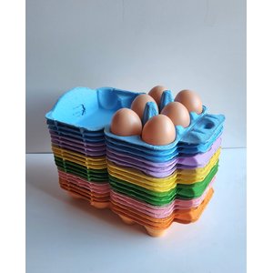 Fresh Eggs Daily Colored Reusable Pulp Paper Cardboard Cartons, Carton Labels, Pencil & Egg Handling Tips Chicken Egg Carrier, 18 count