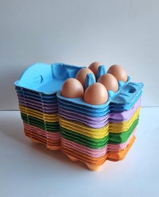 Show full view: Fresh Eggs Daily Colored Reusable Pulp Paper Cardboard Cartons, Carton Labels, Pencil & Egg Handling Tips Chicken Egg Carrier, 18 count slide 1 of 10