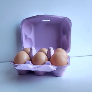 Fresh Eggs Daily Colored Reusable Pulp Paper Cardboard Cartons, Carton Labels, Pencil & Egg Handling Tips Chicken Egg Carrier, 18 count