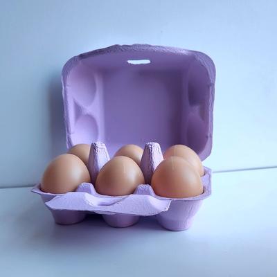 Show full view: Fresh Eggs Daily Colored Reusable Pulp Paper Cardboard Cartons, Carton Labels, Pencil & Egg Handling Tips Chicken Egg Carrier, 18 count slide 8 of 10