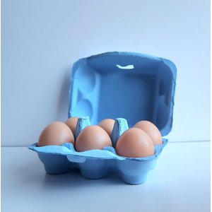Fresh Eggs Daily Colored Reusable Pulp Paper Cardboard Cartons, Carton Labels, Pencil & Egg Handling Tips Chicken Egg Carrier, 18 count
