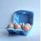 Show in main carousel: Fresh Eggs Daily Colored Reusable Pulp Paper Cardboard Cartons, Carton Labels, Pencil & Egg Handling Tips Chicken Egg Carrier, 18 count slide 4 of 10