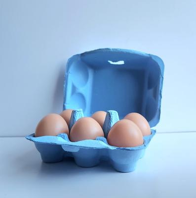 Show full view: Fresh Eggs Daily Colored Reusable Pulp Paper Cardboard Cartons, Carton Labels, Pencil & Egg Handling Tips Chicken Egg Carrier, 18 count slide 4 of 10