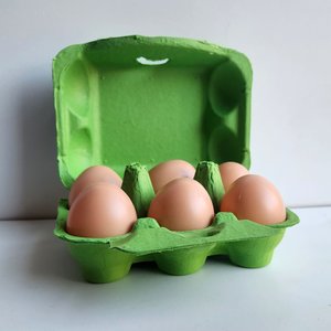 Fresh Eggs Daily Colored Reusable Pulp Paper Cardboard Cartons, Carton Labels, Pencil & Egg Handling Tips Chicken Egg Carrier, 18 count