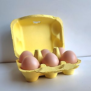 Fresh Eggs Daily Colored Reusable Pulp Paper Cardboard Cartons, Carton Labels, Pencil & Egg Handling Tips Chicken Egg Carrier, 18 count