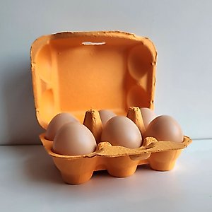 Fresh Eggs Daily Colored Reusable Pulp Paper Cardboard Cartons, Carton Labels, Pencil & Egg Handling Tips Chicken Egg Carrier, 18 count
