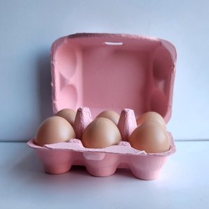 Fresh Eggs Daily Colored Reusable Pulp Paper Cardboard Cartons, Carton Labels, Pencil & Egg Handling Tips Chicken Egg Carrier, 18 count