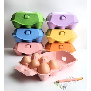 Fresh Eggs Daily Colored Reusable Pulp Paper Cardboard Cartons, Carton Labels, Pencil & Egg Handling Tips Chicken Egg Carrier, 18 count