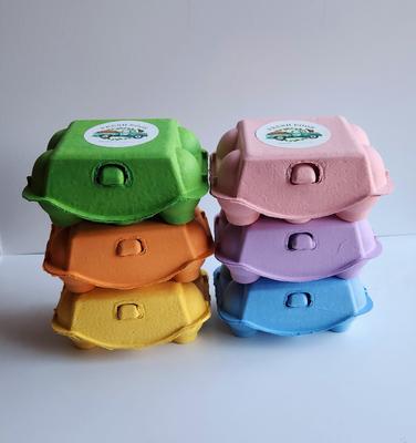 Show full view: Fresh Eggs Daily Colored Reusable Pulp Paper Cardboard Cartons, Carton Labels, Pencil & Egg Handling Tips Chicken Egg Carrier, 18 count slide 3 of 10