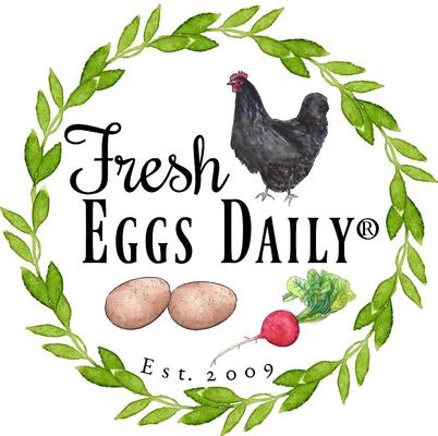 Show full view: Fresh Eggs Daily Poultry Probiotics Balanced Mix Chicken & Duck Supplement, 16-oz jar slide 4 of 5