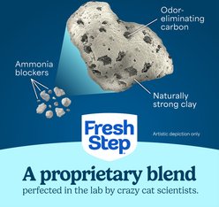 Fresh Step Clean Paws Unscented Multi-Cat Clumping Clay Cat Litter, 22-lb box slide 2 of 9