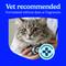 Show in main carousel: Fresh Step Clean Paws Unscented Multi-Cat Clumping Clay Cat Litter, 22-lb box slide 4 of 12