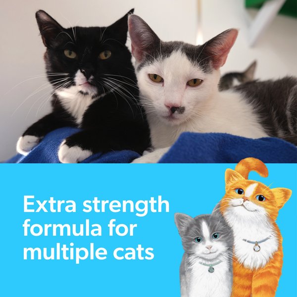 Fresh Step Multi-Cat Extra Strength Scented Clumping Cat Litter