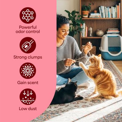 Show full view: Fresh Step Odor Shield Febreze Freshness Gain Original Scented Multi-Cat Clumping Clay Cat Litter, 14-lb box slide 4 of 12