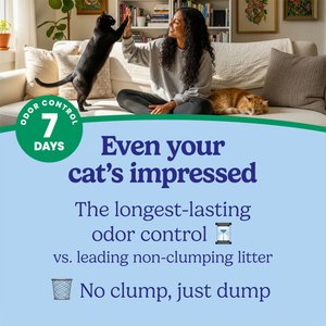 Fresh Step Premium Febreze Freshness Scented Multi-Cat Non-Clumping Clay Cat Litter, 21-lb