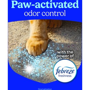 Fresh Step Premium Febreze Freshness Scented Multi-Cat Non-Clumping Clay Cat Litter, 21-lb