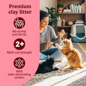 Fresh Step Premium Febreze Freshness Scented Multi-Cat Non-Clumping Clay Cat Litter, 21-lb