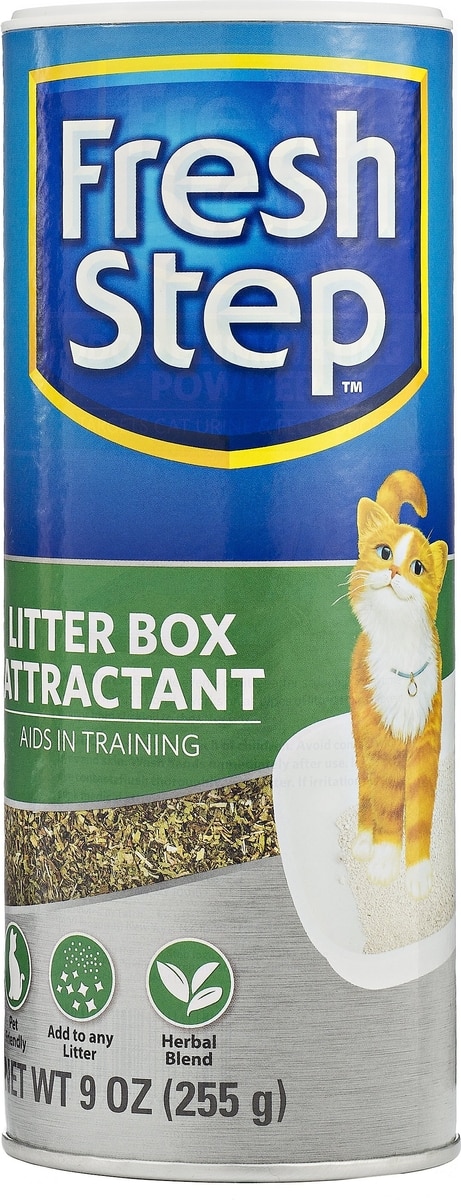 ストレイキャッツFRESH BOX ストレイキャッツFRESH BOX ストレイキャッツFRESH BOX Stray Cats