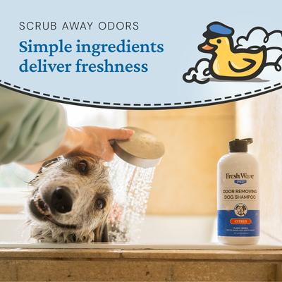 Show full view: Fresh Wave Premium Dog Shampoo, 16-fl oz bottle slide 5 of 9