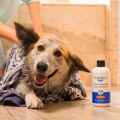 Show full view: Fresh Wave Premium Dog Shampoo, 16-fl oz bottle slide 3 of 9