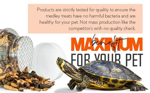 Show full view: Freshinsects Medley Treats for Aquatic Turtles, 2.5-oz jar slide 8 of 8