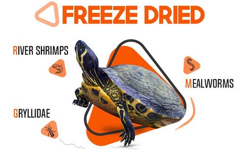 Show full view: Freshinsects Medley Treats for Aquatic Turtles, 6-oz jar slide 7 of 8