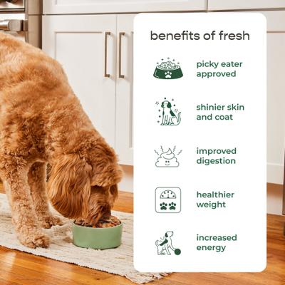 Show full view: Freshpet Complete Nutrition Chicken Recipe Fresh Dog Food, 1.5-lb roll, bundle of 16  slide 7 of 8