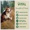 Show in main carousel: Freshpet Dognation Chicken Recipe Fresh Treats + Vital Chicken, Beef, Salmon & Egg Recipe Fresh Dog Food slide 9 of 9