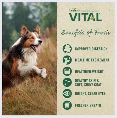 Show full view: Freshpet Dognation Chicken Recipe Fresh Treats + Vital Chicken, Beef, Salmon & Egg Recipe Fresh Dog Food slide 9 of 9