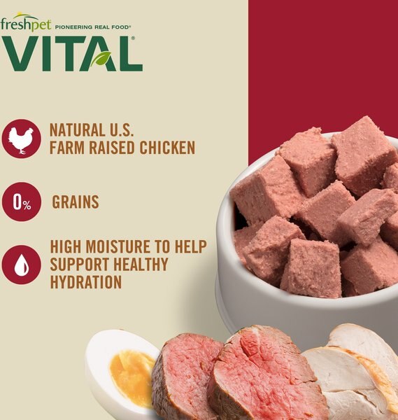 Freshpet Vital Chicken & Beef Recipe Fresh Cat Food