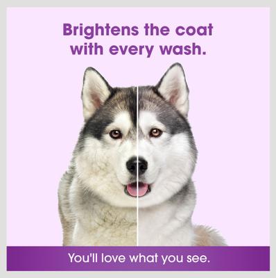 Show full view: Friday's Dog Mega Brilliance Fur Whitening & Brightening Dog Shampoo, 12-fl oz bottle slide 5 of 10