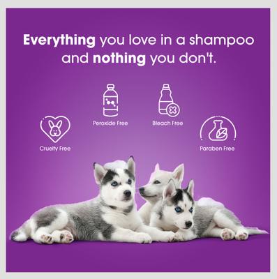 Show full view: Friday's Dog Mega Brilliance Fur Whitening & Brightening Dog Shampoo, 12-fl oz bottle slide 6 of 10