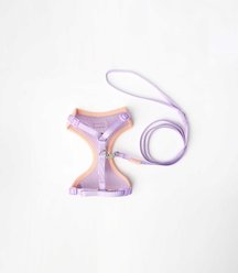Friendli Mesh Comfort Cat Harness with Nylon Leash, Purple, Small: 13 to 20-in chest