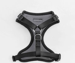 Friendli Mesh Dog Harness, Midnight Black, Small: 14 to 22-in chest