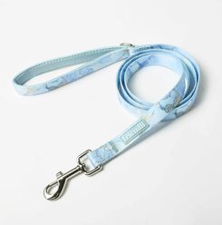 Friendli Neoprene Padded Dog Leash, 5-ft long, 13/16-in wide, Blue