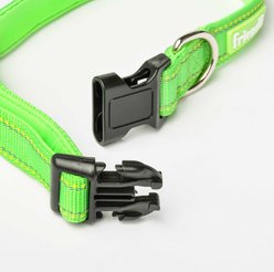 Friendli Nylon Dog Collar, Cosmic Green, Large/X-Large: 16 to 18-in neck, 1-in wide slide 2 of 3