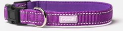 Friendli Nylon Dog Collar, Grape, Small/Medium: 11 to 16-in neck, 3/4-in wide