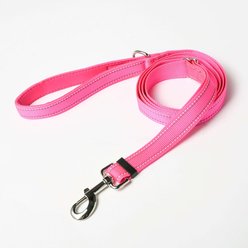 Friendli Reflective Dog Leash, 6-ft long, 1-in wide, Hot Pink slide 1 of 3