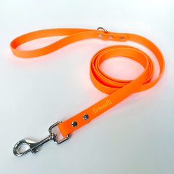Friendli Waterproof Dog Leash, 6-ft long, 13/16-in wide, Tangerine slide 2 of 2
