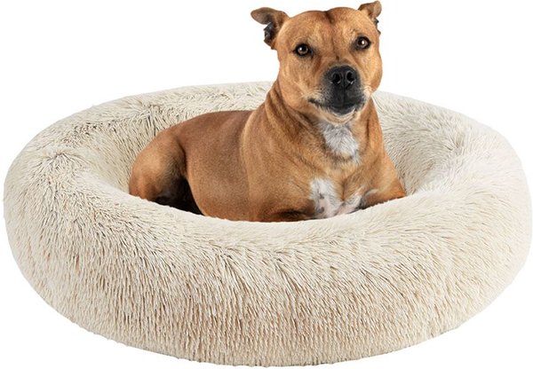 Show full view: Friends Forever Serena Calming Oval Cuddler Bolster with Memory Foam Dog & Cat Bed, Tan, Large slide 1 of 10