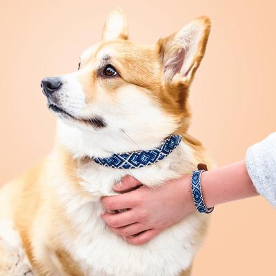 Show full view: FriendshipCollar Mucky Pup Leather Dog Collar with Friendship Bracelet, Medium: 15 to 18-in neck, 1-in wide slide 5 of 12