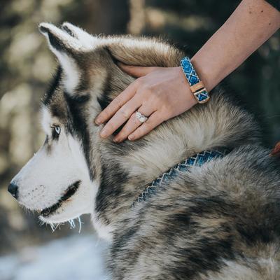 Show full view: FriendshipCollar Mucky Pup Leather Dog Collar with Friendship Bracelet, Medium: 15 to 18-in neck, 1-in wide slide 8 of 12