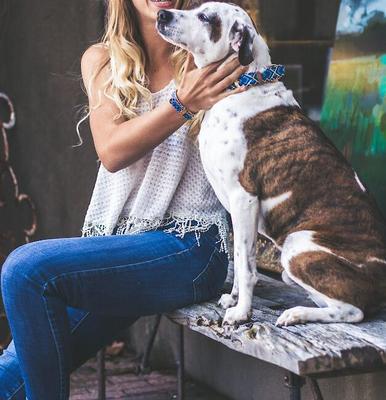 Show full view: FriendshipCollar Mucky Pup Leather Dog Collar with Friendship Bracelet, Small: 13 to 16-in neck, 1-in wide slide 7 of 9