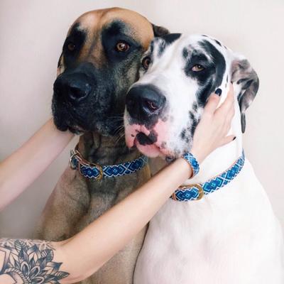 Show full view: FriendshipCollar Mucky Pup Leather Dog Collar with Friendship Bracelet, X-Large: 19 to 22-in neck, 1-in wide slide 4 of 10