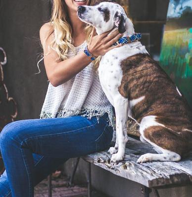 Show full view: FriendshipCollar Mucky Pup Leather Dog Collar with Friendship Bracelet, X-Large: 19 to 22-in neck, 1-in wide slide 8 of 10