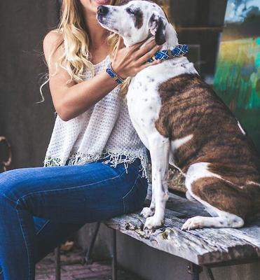 Show full view: FriendshipCollar Mucky Pup Leather Dog Collar with Friendship Bracelet, X-Small: 11 to 14-in neck, 3/4-in wide slide 8 of 10