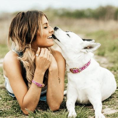 Show full view: FriendshipCollar Pedigree Princess Leather Dog Collar with Friendship Bracelet, Medium: 15 to 18-in neck, 1-in wide slide 6 of 11